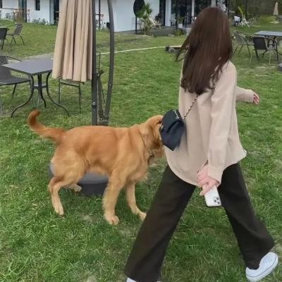 深度秘密
